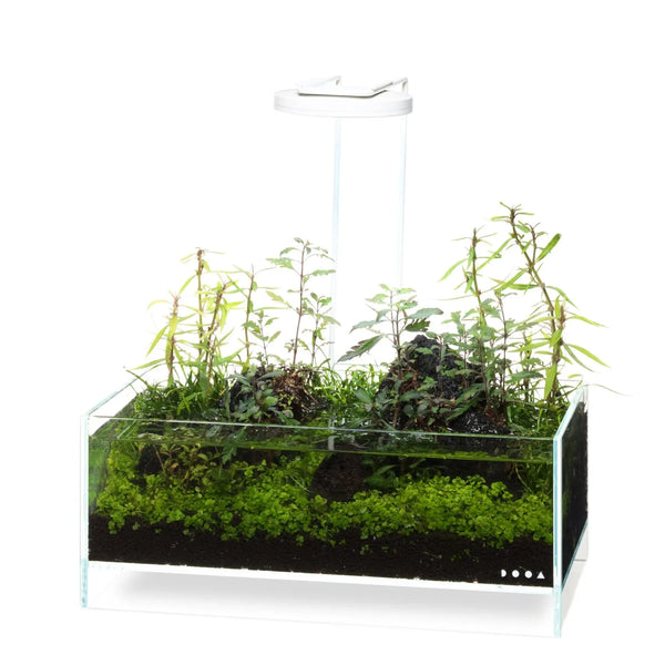 DOOA Magnet Light Wire Arm – Aqua Forest Aquarium
