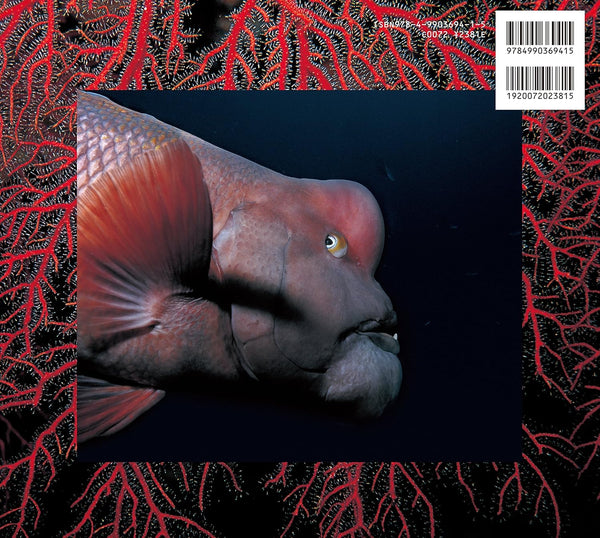 A1EBbLkTHaL._SL1500_d9339f57-