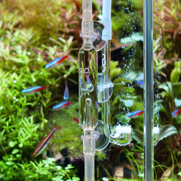 水質管理 ADA CO2 BEETLE COUNTER ADA CO2 Beetle Counter Aquarium