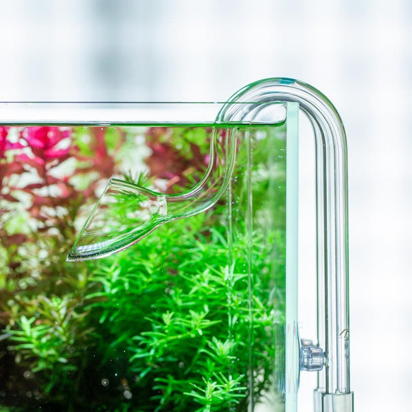 lily pipe water flow ADA Lily Pipe P (Outflow)