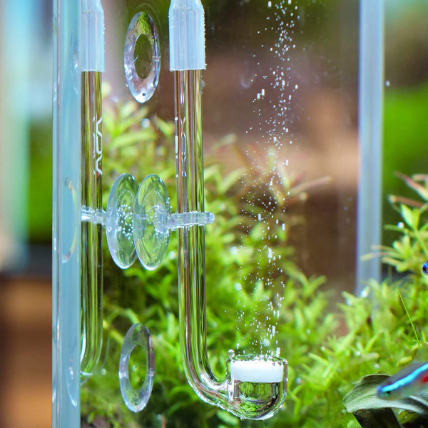 CO2 Verstuiver Diffuser Acryl Aquarium Kooldioxide Transparante Bellenteller Raffinaderij Aquarium Waterplanten (S