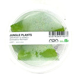 LC071 ADA Jungle plants-Echinodorus 'Red Rubin'  (Jungle plants cup)