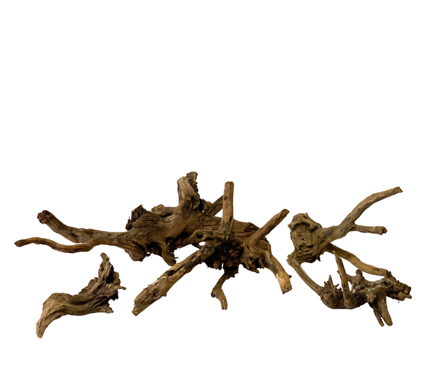 Ancient horn driftwood – Aqua Forest Aquarium