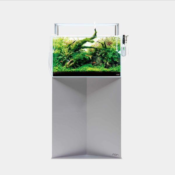 ADA Cube Garden 60P Rimless AquariumADA Cube Garden 60P Rimless Aquarium  