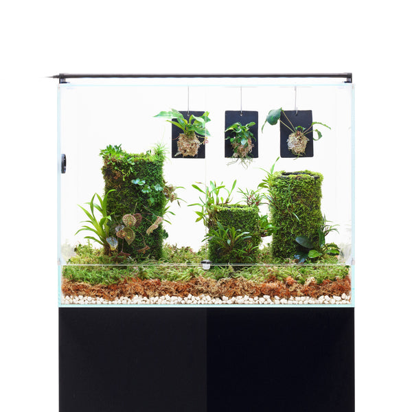 Aquadella - Décoration Green Limestone pour Aquarium - 24x20x21,5cm