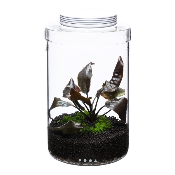 DOOA Glass Pot MARU 130 Magnet Light G Set – Aqua Forest 