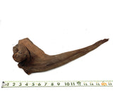Thick Ancient Horn Wood