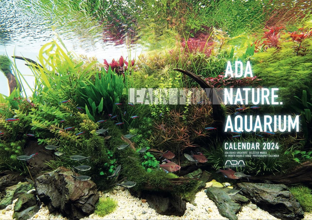 ADA Nature Aquarium Calendar 2024 Aqua Forest Aquarium