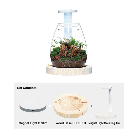 DOOA Magnet Light G Slim Wood Base Set