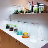 DOOA TROPICAL RIVER SOIL (700mL)