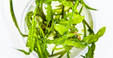 Tropica Aquarium Plants: Cryptocoryne crispatula (TC)  Tropica 1-2-Grow!