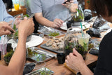 DOOA "SHIZUKU" Workshop 2026 at AQUASHELLA (Venue: Dallas Market Hall)