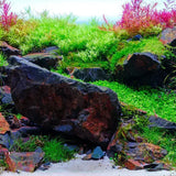 Twinstar LED Light S-LINE V with LightControl Pro - Adjustable legs