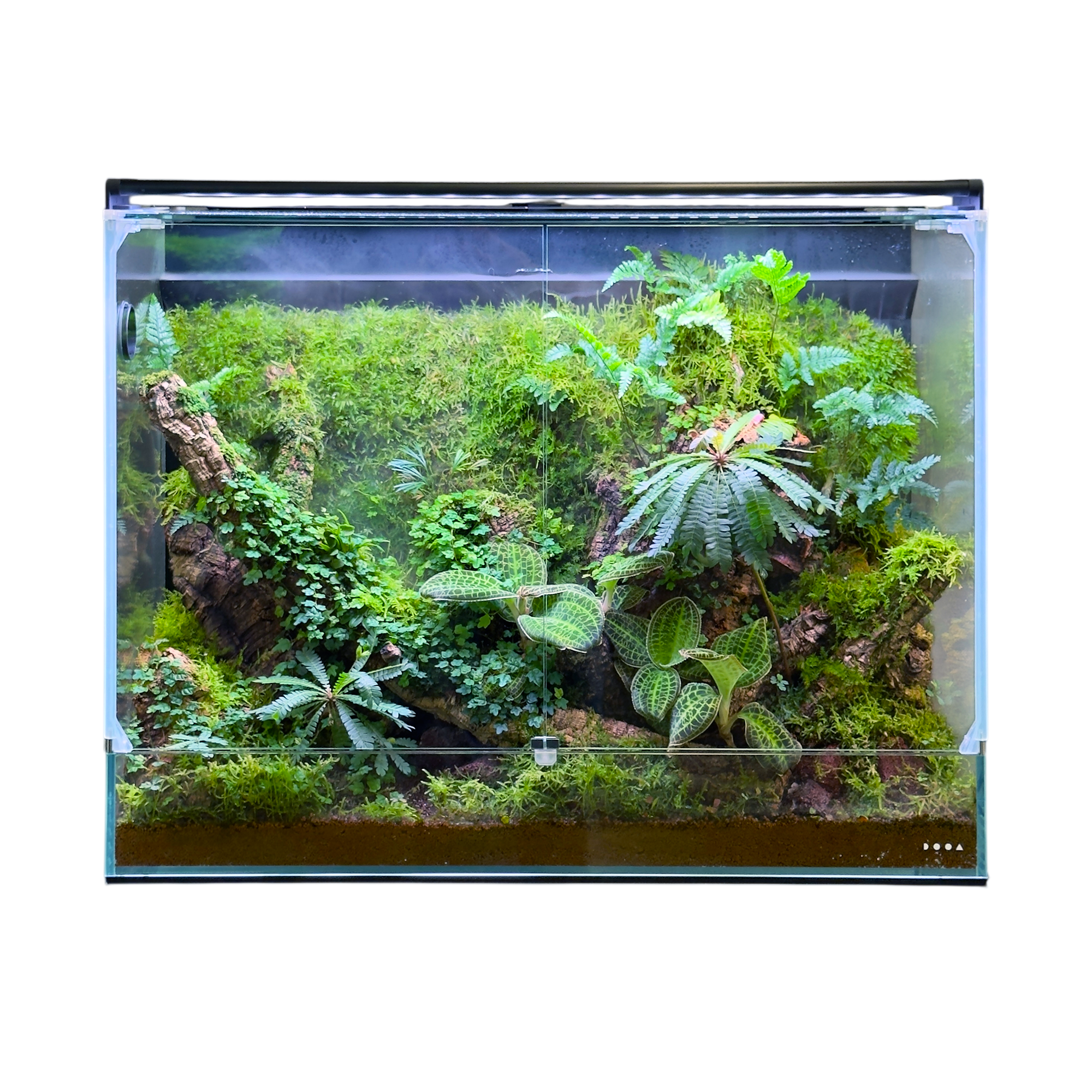 ADAGallery_SystemPaluda60_new_ ADAGallery_SystemPaluda60_new_