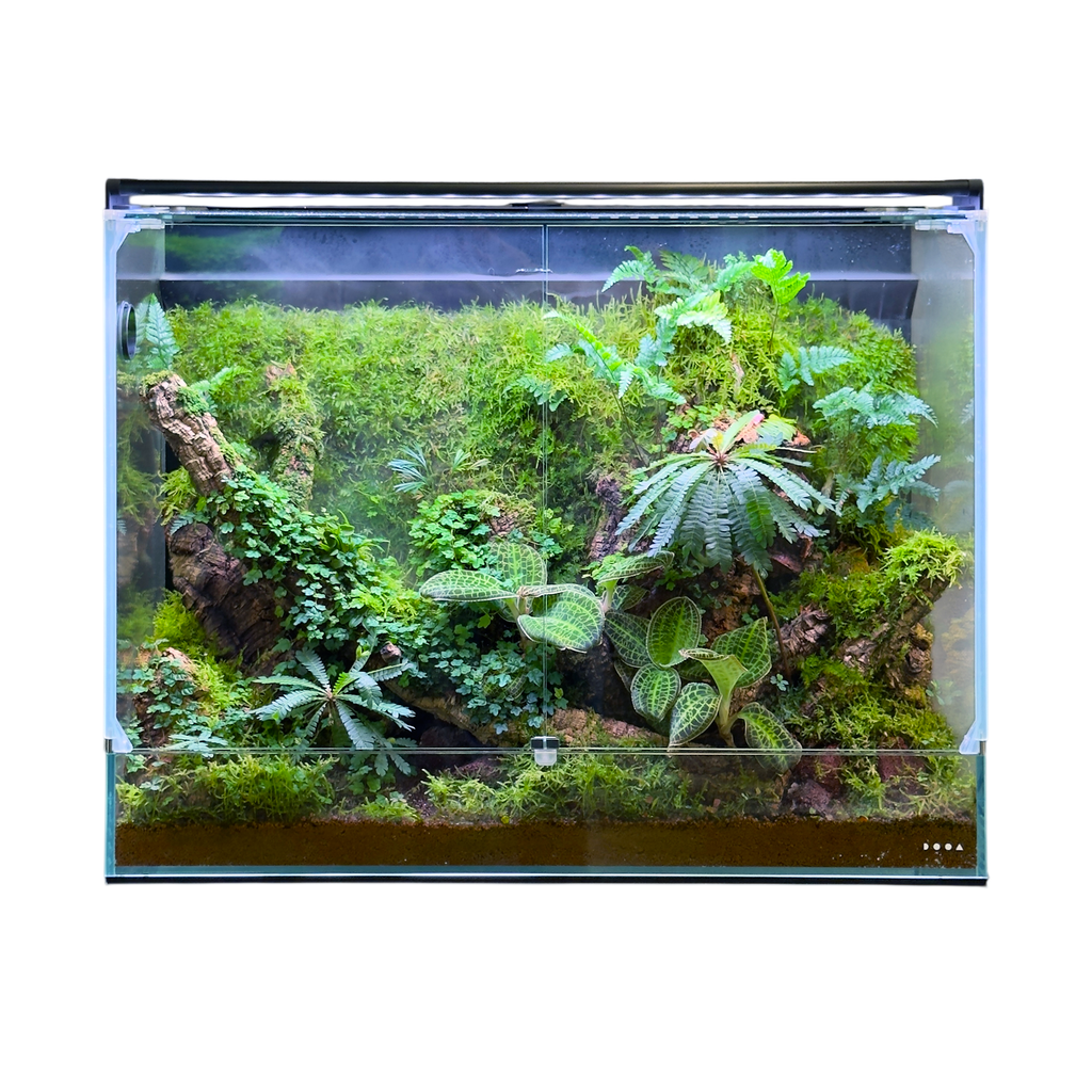 パルダライト30 DOOA ADAGallery_SystemPaluda60_new_