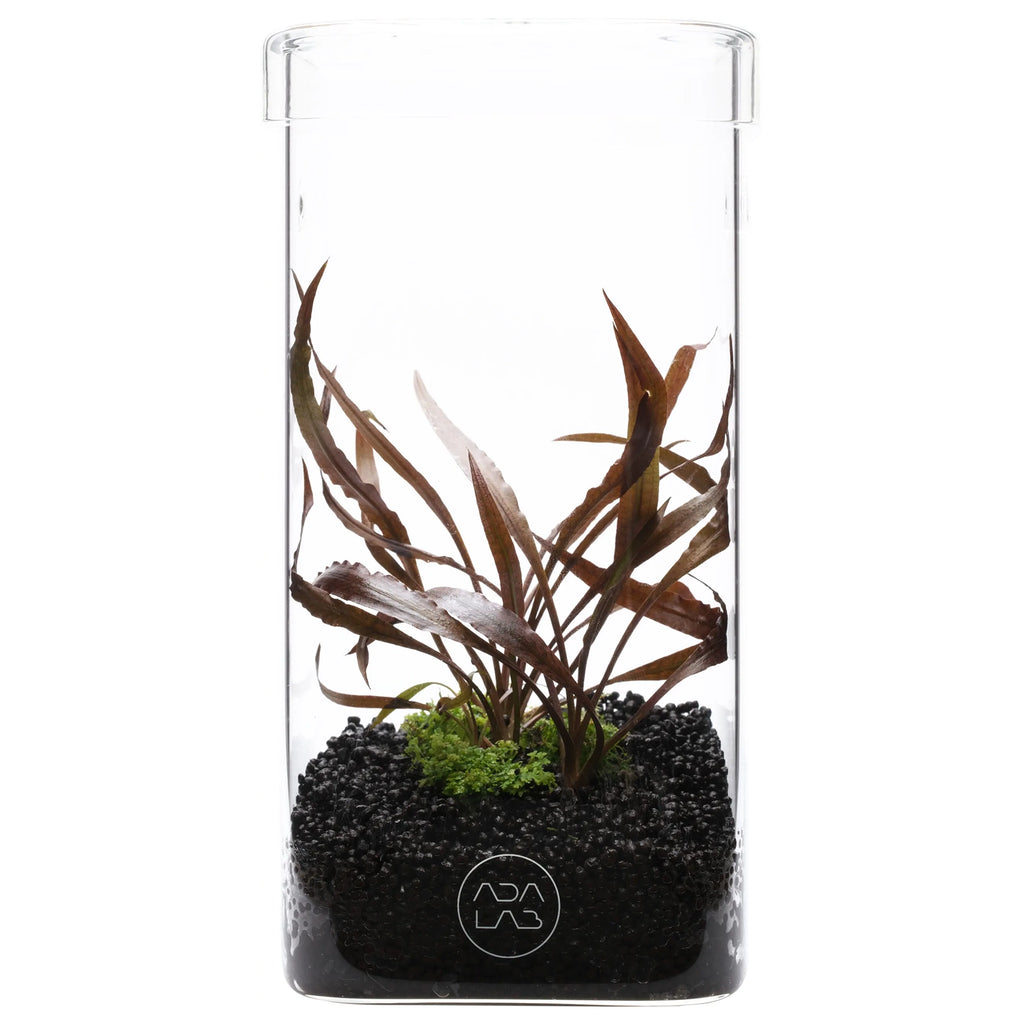 ADA LAB GLASS POT KAKU – Aqua Forest Aquarium