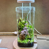 ADA LAB GLASS POT KAKU