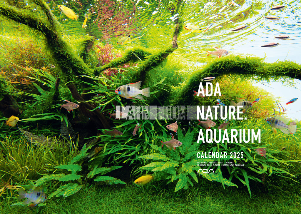 ADA Nature Aquarium Calendar 2025 – Aqua Forest Aquarium ada-nature-aquarium-calendar-2025-aqua-forest-aquarium