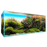 ADA Cube Garden 120P Layout Renewal Campaign set with Archaea Modern-Nature Aquarium Stand (L120cm x D50cm x H76.2cm) and Garden Mat