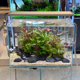 ADA Cube Garden 45P Rimless Aquarium (Ultra High Clarity Low Iron Glass)
