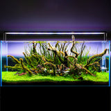 Twinstar LED Light S-LINE V with LightControl Pro - Adjustable legs