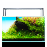 ADA Cube Garden 60P Layout Renewal Campaign set + ADA AQUASKY RGB II 60 + Light Screen 600 + Garden Mat + Metal Cabinet 600 Mineral Gray