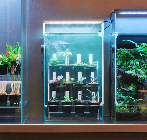 DOOA Collection Wire Stand 30 – Aqua Forest Aquarium DOOA Collection Wire Stand 30 – Aqua Forest Aquarium