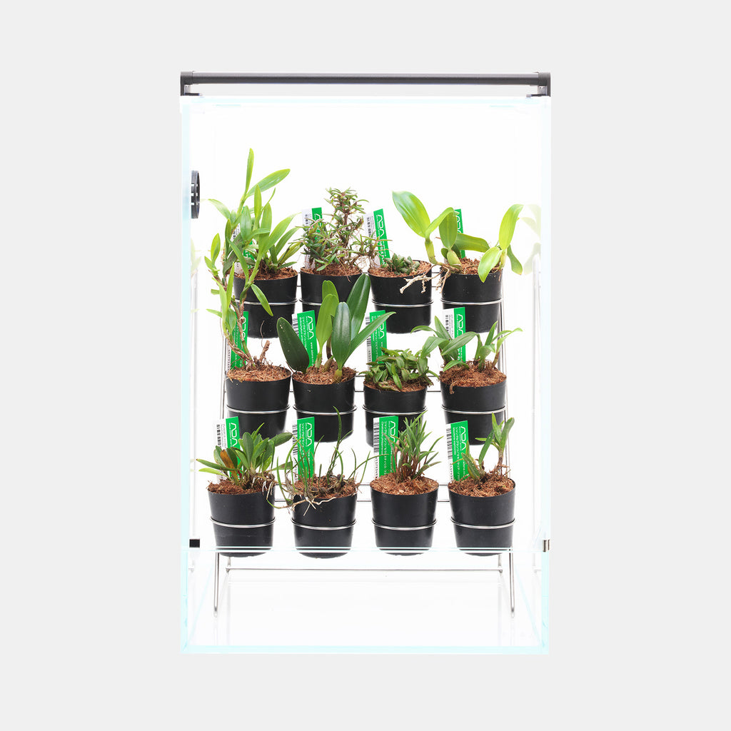 【DOOA】コレクションワイヤースタンド30　ADA DOOA Collection Wire Stand 30 – Aqua Forest Aquarium