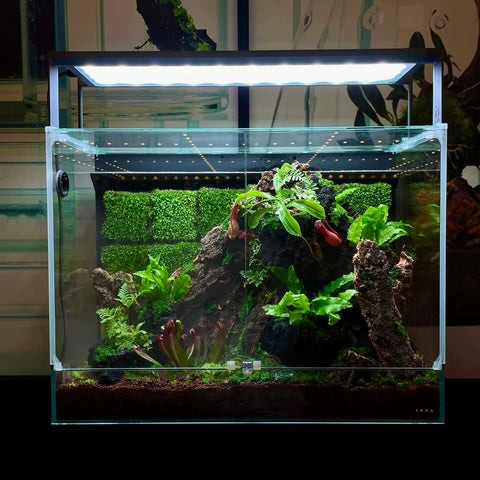 ADA AQUASKY RGB II 60 LED lighting system (108W) – Aqua Forest 