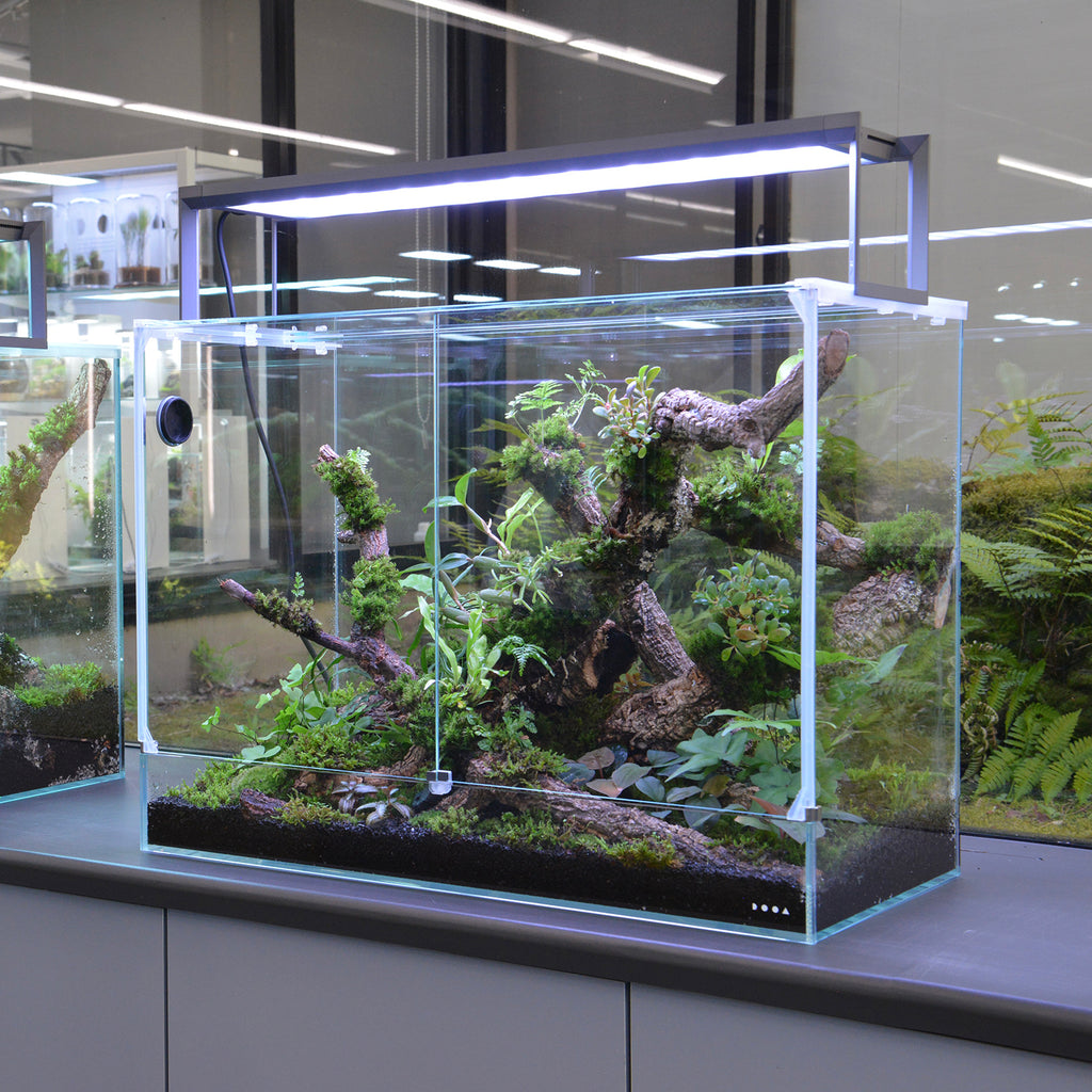 DOOA NEO GLASS PALUDA – Aqua Forest Aquarium