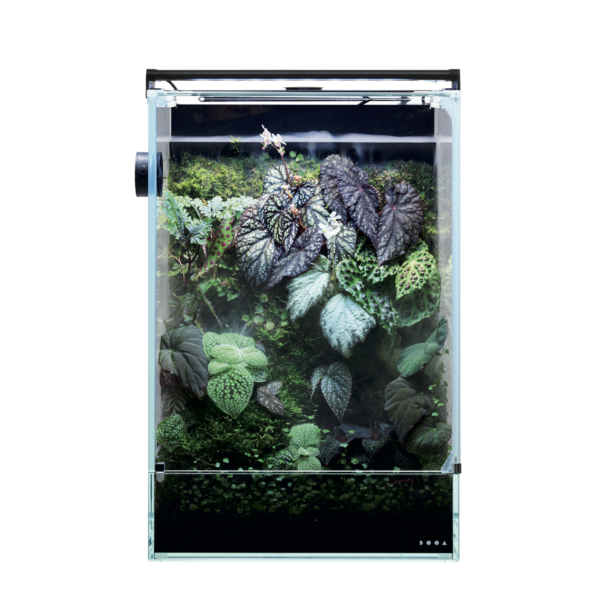 DOOA SYSTEM PALUDA – Aqua Forest Aquarium