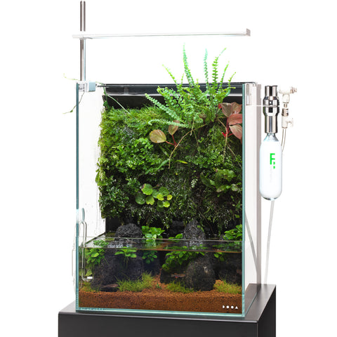 DOOA SYSTEM TERRA 30 - Mistflow SET – Aqua Forest Aquarium