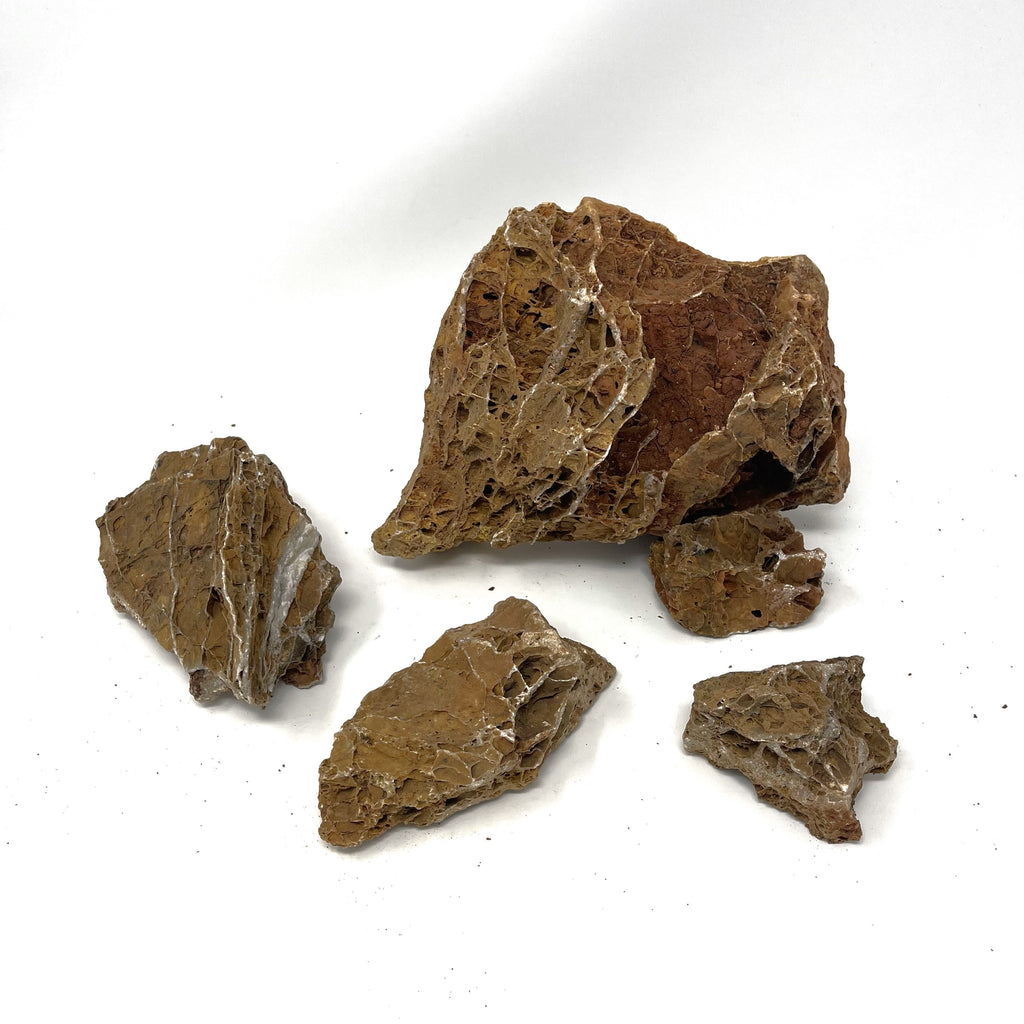 Waterleaf Stone Maple Leaf Stone – Aqua Forest Aquarium