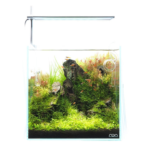 DOOA SOL STAND RGB – Aqua Forest Aquarium