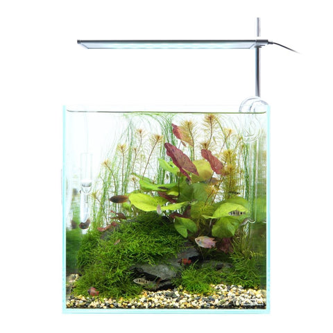 DOOA SOL STAND RGB – Aqua Forest Aquarium