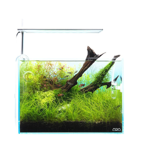 DOOA SOL STAND RGB – Aqua Forest Aquarium