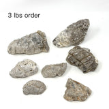 ADA Lichen Stone (New Arrivals)