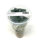 LC357 Jungle plants Lagenandra meeboldii 'Hickory' (jungle plant cup)