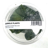 LC355 Jungle plants Lagenandra meeboldii 'Water melon' (jungle plant cup)