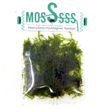 ZP814 Taiwan moss (Vesicularia montagnei 'Taiwan') (pouch)