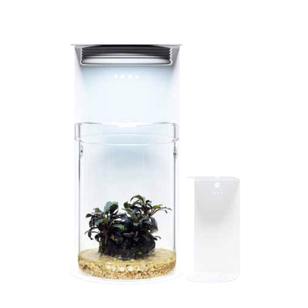 DOOA Magnet Light Stand MARU – Aqua Forest Aquarium
