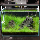 ADA NA Light LED System