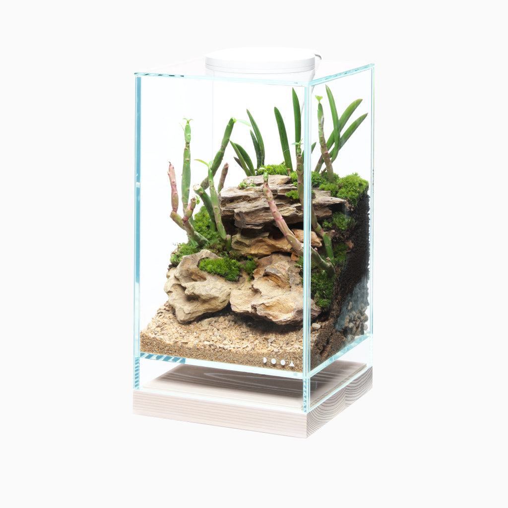 DOOA Neo Glass Wood Base – Aqua Forest Aquarium