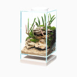 DOOA Neo Glass Wood Base