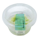 AFA tissue culture-Anubias nana ice