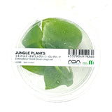 LC066 ADA Jungle plants-Echinodorus 'Ozelot Green Long Leaf'  (Jungle plants cup)
