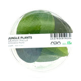 LC075 ADA Jungle plants-Echinodorus 'Arjuna'  (Jungle plants cup)