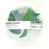 LC119 ADA Jungle plants-Anubias barteri var. glabra  (Jungle plants cup)