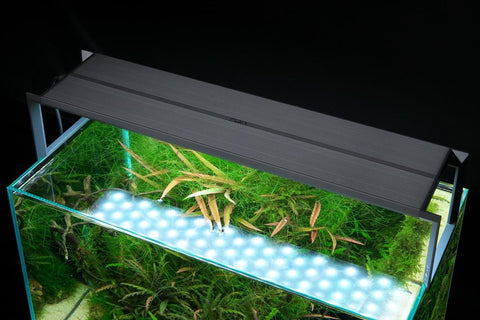 ADA AQUASKY RGB II 60 LED lighting system (108W) – Aqua Forest 