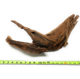 Thick Ancient Horn Wood (Free Shipping)